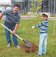 Исполнительный директор КПК «САН ИнБев» А.Богаченков с младшим сыном Ильей сажают молодые деревья.