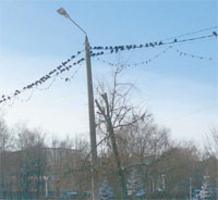 Безимени-3.jpg